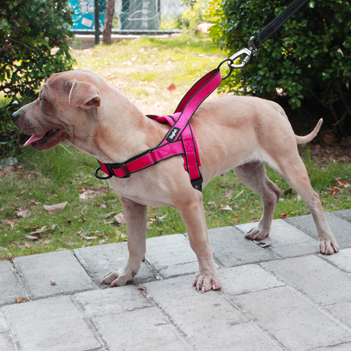 Versatile Pet Chest Harness for Dogs of All Sizes – Ideal for Outdoor Adventures