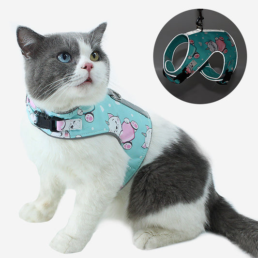 Cat leashing rope and walking set for outdoor adventures.