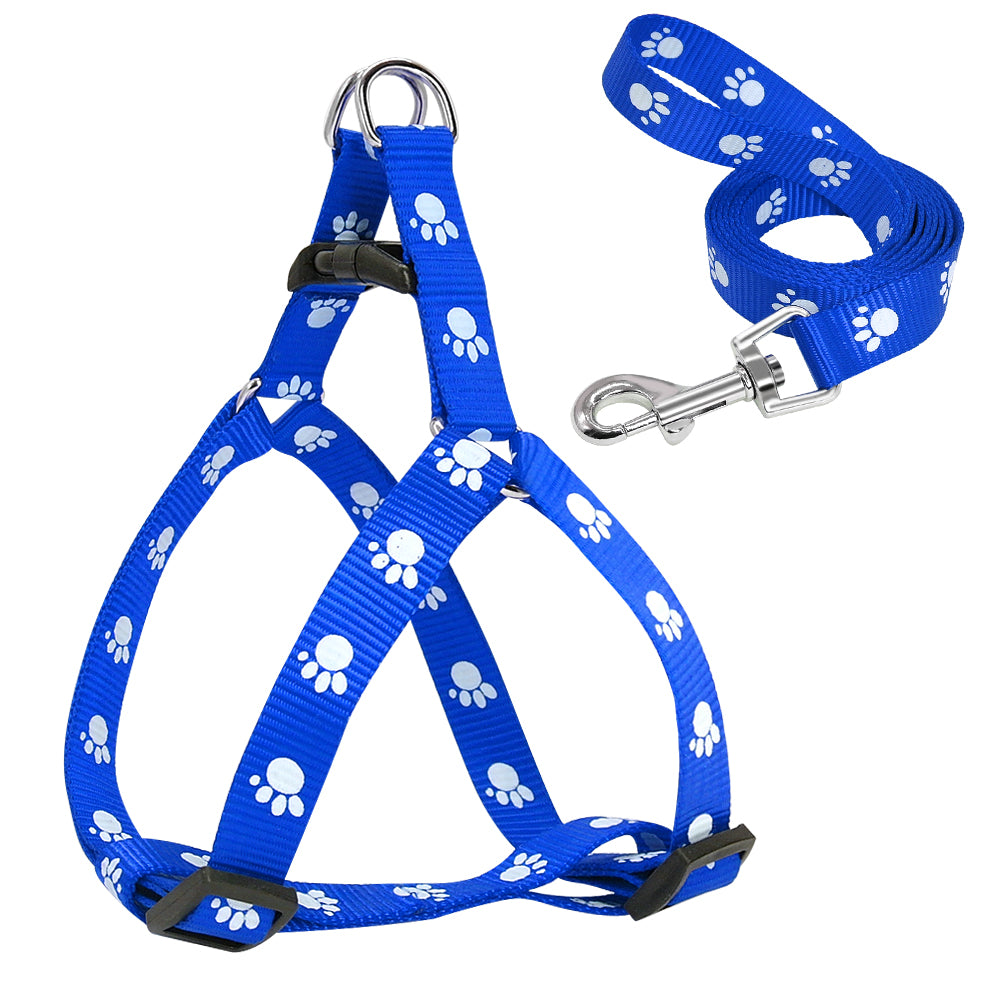 Printed dog leash