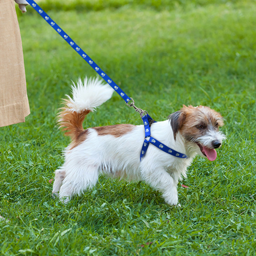 Printed dog leash