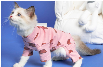 Chic British Short Cat Clothes | Anti-Hair Shedding Attire for Hairless Cats