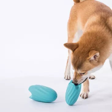 Bite-Resistant Dog Teether | Interactive Pet Educational Toy