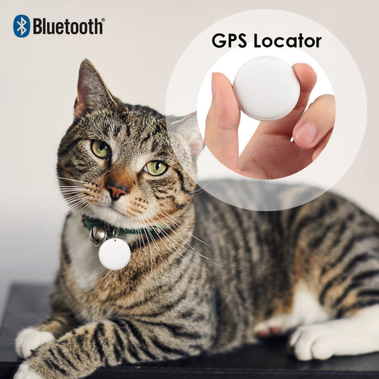 GPS Tracker: Never Lose Your Pet Again