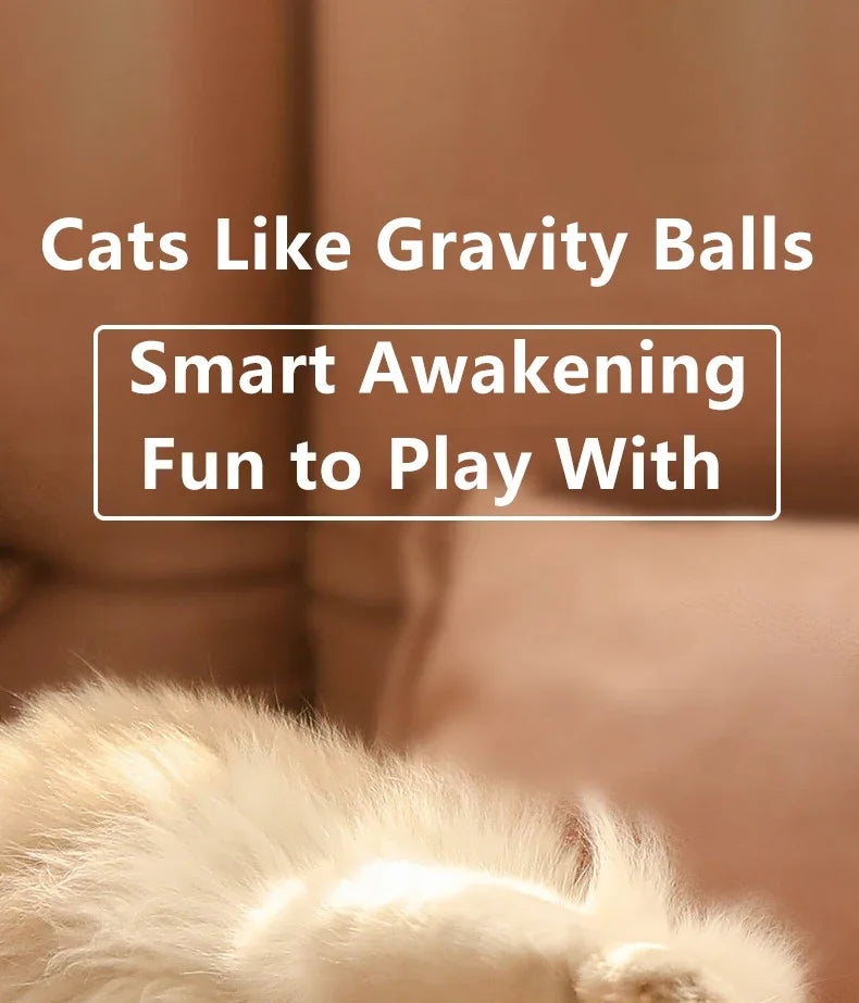 Spin Ball Things for Cats Toys Electric Interactive USB Charging Cat Ball Toy Cat and Dog Accessories Pet Cat's Supplies Home