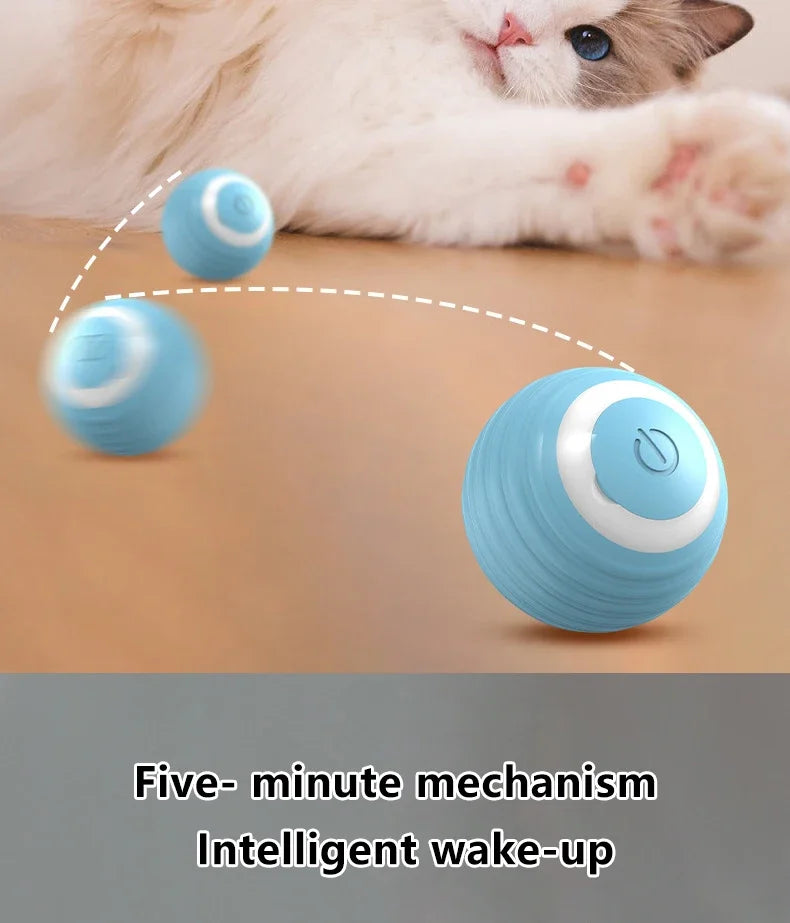 Spin Ball Things for Cats Toys Electric Interactive USB Charging Cat Ball Toy Cat and Dog Accessories Pet Cat's Supplies Home