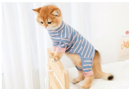 Chic British Short Cat Clothes | Anti-Hair Shedding Attire for Hairless Cats