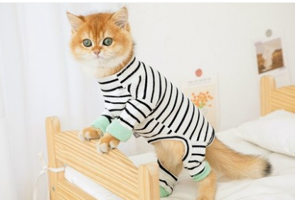 Chic British Short Cat Clothes | Anti-Hair Shedding Attire for Hairless Cats