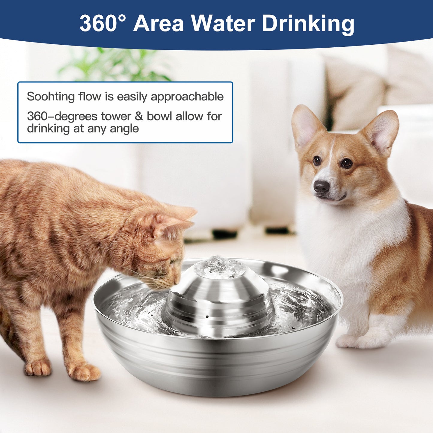 Stainless Steel Pet Water Dispenser