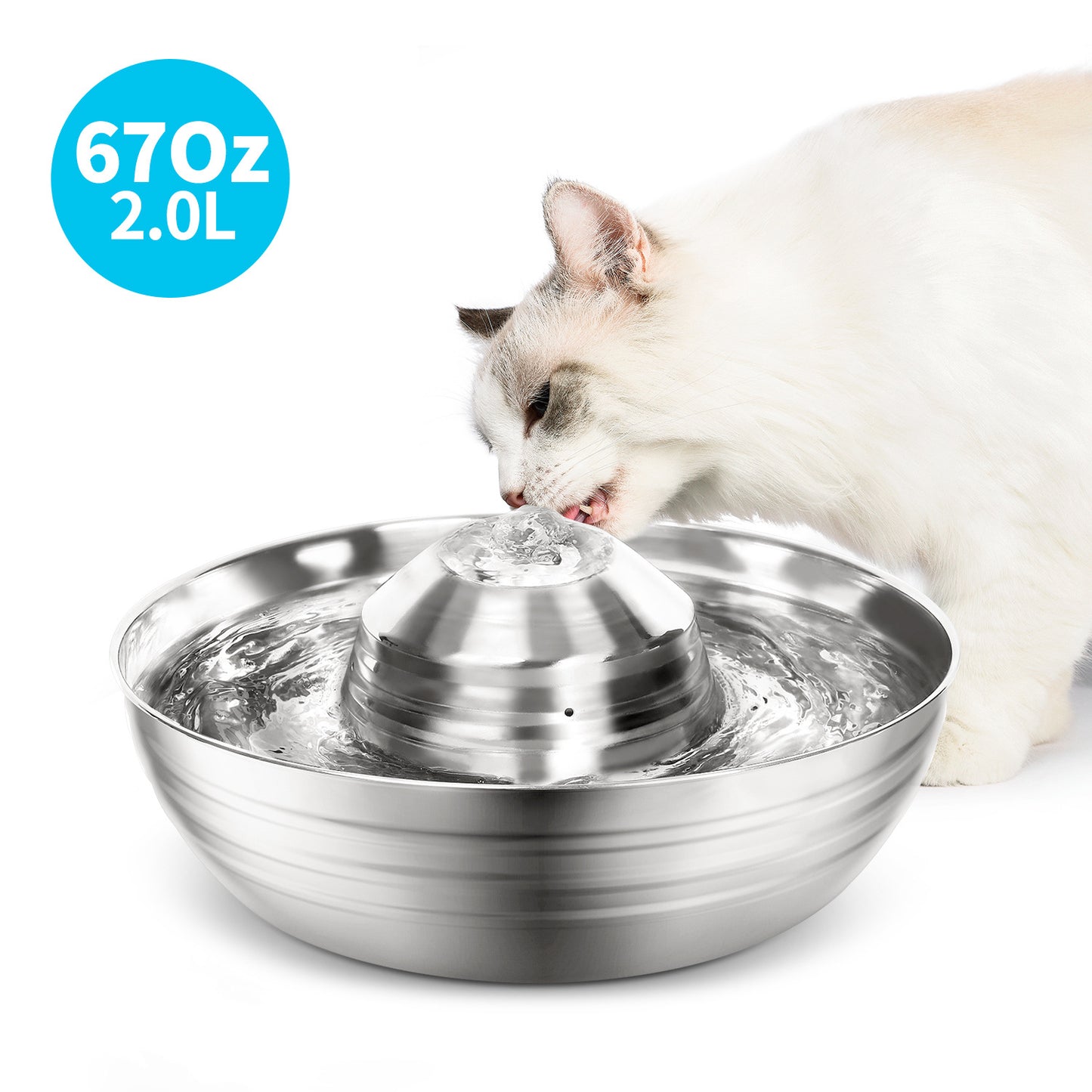 Stainless Steel Pet Water Dispenser