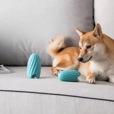 Bite-Resistant Dog Teether | Interactive Pet Educational Toy